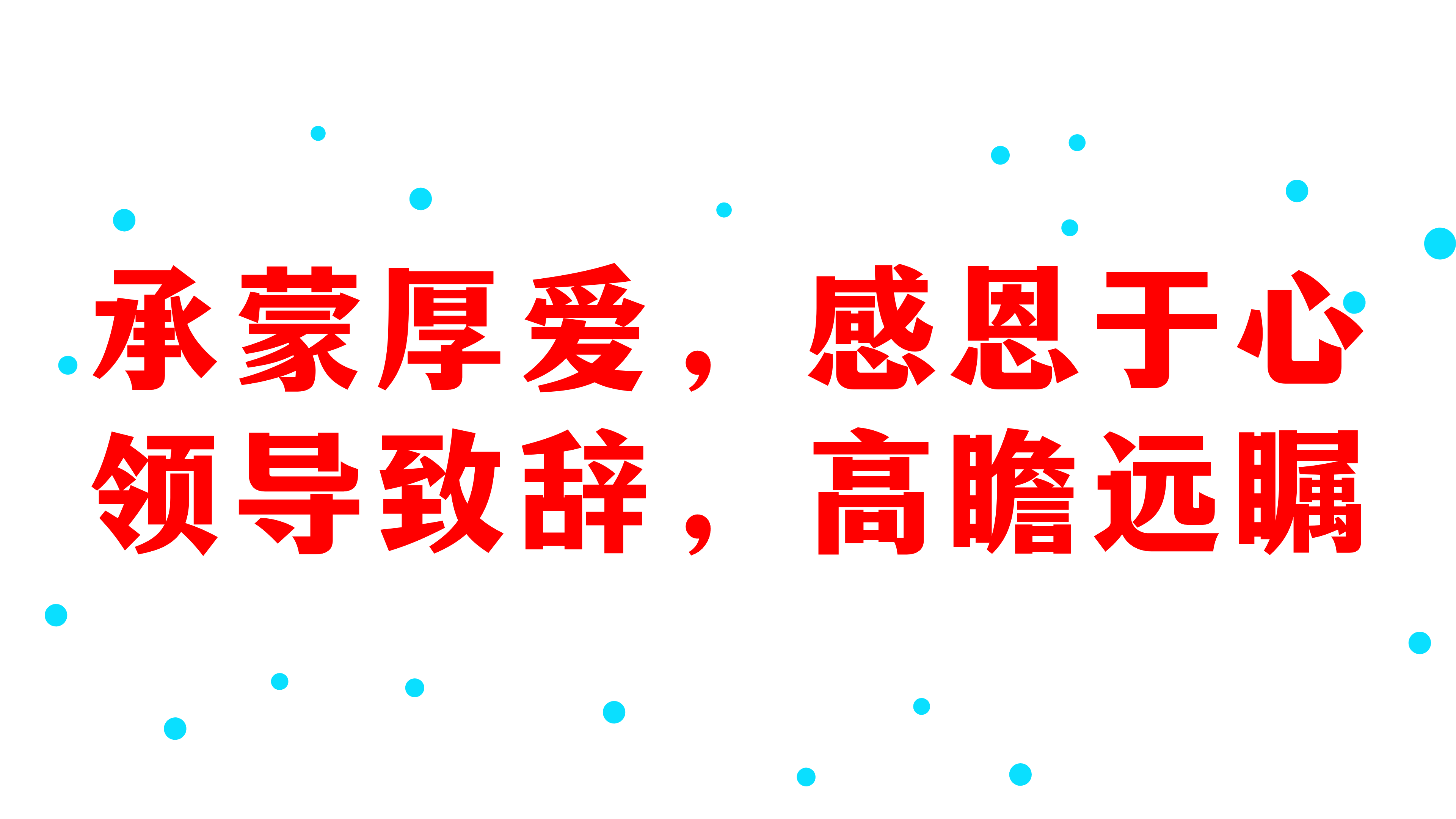 加拿大28预测